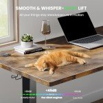 SIAGO Electric Standing Desk Adjustable - 48 x 24 Inch Sit Stand up Desk with Cable Management - 3 Memory Preset Adjustable Height Computer Home Office Desk
