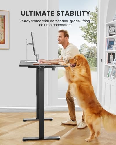 ErGear 48x24 Inch Electric Standing Desk - Black