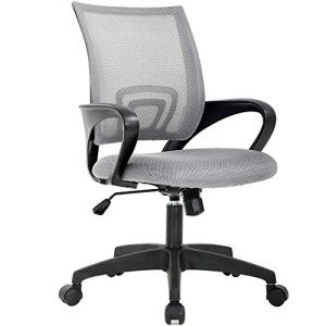 Office Chair Desk Chair Computer Chair Ergonomic Executive Swivel Rolling Chair with Lumbar Support Arms Adjustable Task Chair for Women Adults, Grey