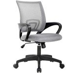 Office Chair Desk Chair Computer Chair Ergonomic Executive Swivel Rolling Chair with Lumbar Support Arms Adjustable Task Chair for Women Adults, Grey
