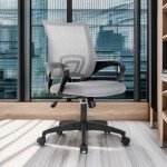 Office Chair Desk Chair Computer Chair Ergonomic Executive Swivel Rolling Chair with Lumbar Support Arms Adjustable Task Chair for Women Adults, Grey