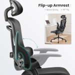 Sweetcrispy Ergonomic Mesh Office Chair, High Back with 2D Headrest, Up&Down Lumbar Support, Swivel Computer Task Desk Chairs with Adjustable Flip-up Armrests, Black