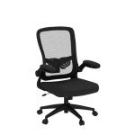 FelixKing Office Chair, Ergonomic Desk Chair with Adjustable Height and Lumbar Support Swivel Lumbar Support Desk Computer Chair with Flip up Armrests for Conference Room (Black)