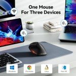 TECKNET Ergonomic Mouse, Wireless Bluetooth Vertical Mouse, 4800 DPI Optical Tracking, 6 Adjustable DPI, Quiet Clicks, 2.4GHz with USB A Receiver, 6 Buttons, Wide Compatibility - Black