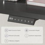 FLEXISPOT EN1 Whole-Piece Standing Desk 48 x 24 Inches Electric Height Adjustable Desk for Home Office (Black Frame + Black Table Top)