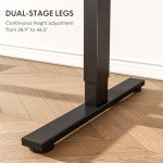 FLEXISPOT EN1 Whole-Piece Standing Desk 48 x 24 Inches Electric Height Adjustable Desk for Home Office (Black Frame + Black Table Top)