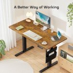 Marsail Standing Desk Adjustable Height, 55x24 Inch Electric Standing Desk with Storage Bag, Stand up Desk for Home Office Computer Desk Memory Preset with Headphone Hook