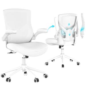 CYKOV Ergonomic High Back Office Chair with Armrests