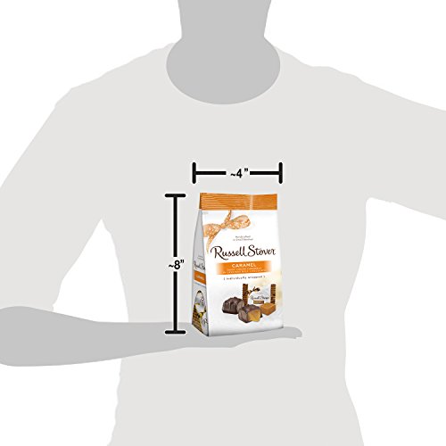 Decadent Milk Chocolate Caramels - 6 oz Bag