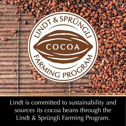 Lindt EXCELLENCE 90% Cocoa Dark Chocolate Bars 12-Pack