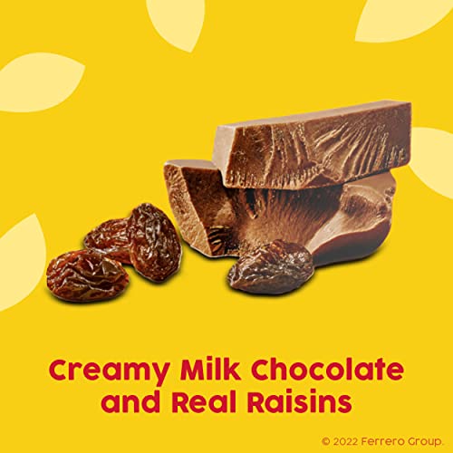 Milk Chocolate-Covered California Raisins - Bulk Pack