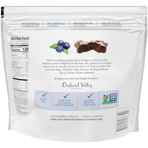 Gourmet Dark Chocolate-Covered Blueberries, 1 Ounce