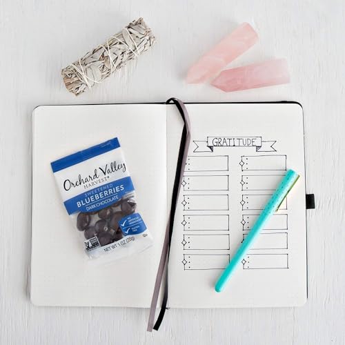 Gourmet Dark Chocolate-Covered Blueberries, 1 Ounce