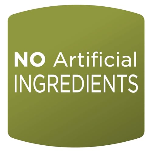 Gourmet Dark Chocolate-Covered Blueberries, 1 Ounce