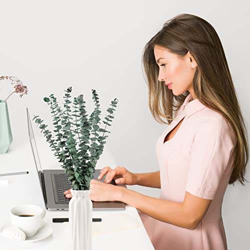 Dried Eucalyptus Stems - 10 Pieces for Decor