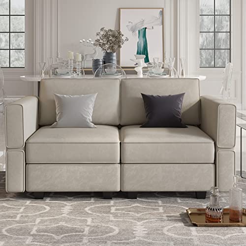Belffin Modular Loveseat Sofa Couch with Storage Seats Velvet 2 Seater Love Seats for Small Spaces Grey