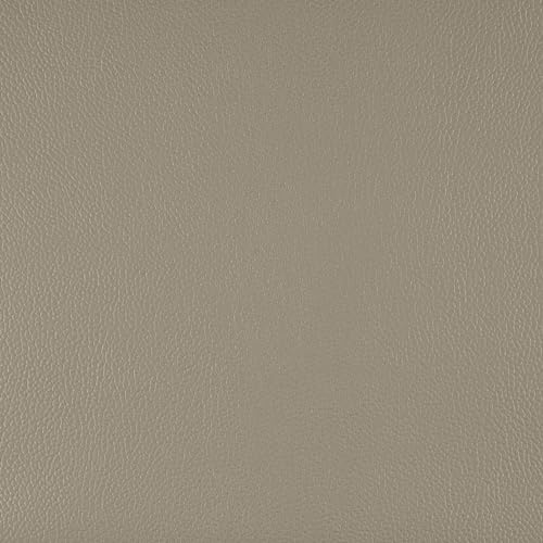 Lexicon Leather Loveseat Sofa, Modern Couch Sofa, Oversized Loveseat, Top Grain Leather Sofas for Living Room, Bedroom, Office, Apartment, Waiting Room, 2-Seater Loveseat, Latte