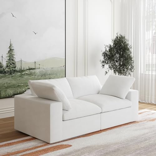 JACH Modular Sectional Couches for Living Room, Modern Convertible Couch, Love Seat Sofas, Cushion Covers Removable, Comfy Sectional Sofa Couch for Living Room Apartment (White)