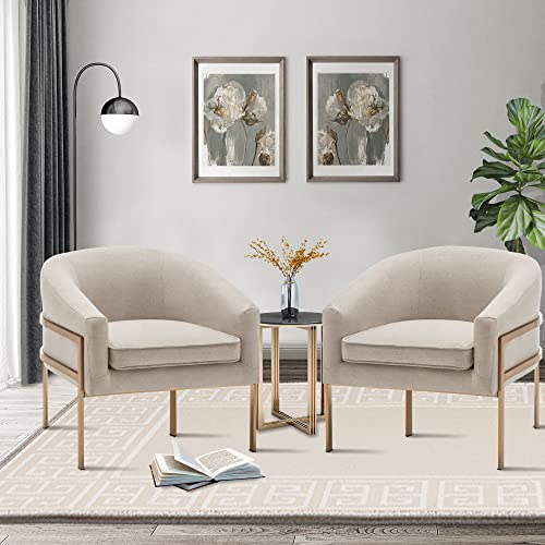annjoe Accent Chair Living Room Chair Arm Chair Upholstered Chair Leisure Chair with Metal Frame Legs for Home Kitchen Bedroom