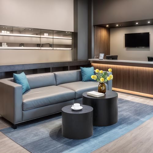 Nesting Coffee Table Set of 2, Modern Round Coffee Table with Non-Slip Feet, Wooden Circle Side Table and Accent Furniture for Bedroom Balcony Lounge Home Office, No Assembling, Matte Black