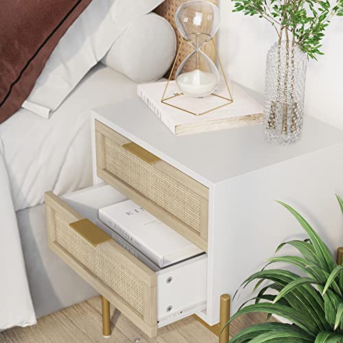 Set of 2 Mid-Century Modern Nightstands with Storage