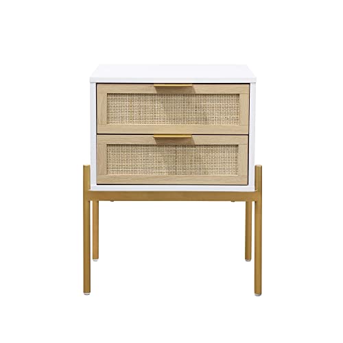 Set of 2 Mid-Century Modern Nightstands with Storage
