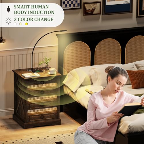 Fredees Adjustable Nightstand Set with Charging Station