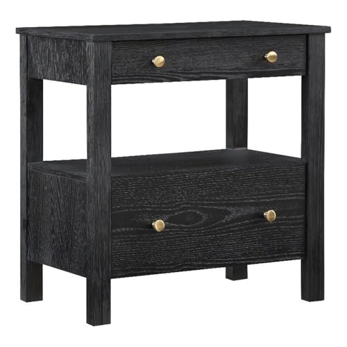 Delano Black Wood 2-Drawer Modern Nightstand