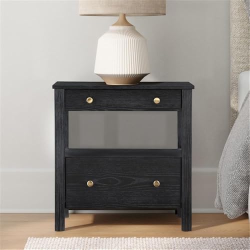 Delano Black Wood 2-Drawer Modern Nightstand