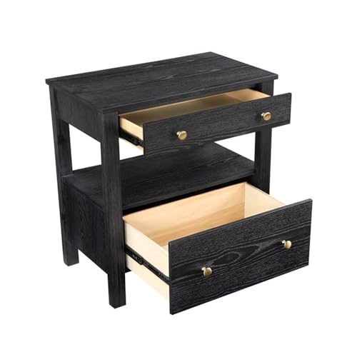 Delano Black Wood 2-Drawer Modern Nightstand