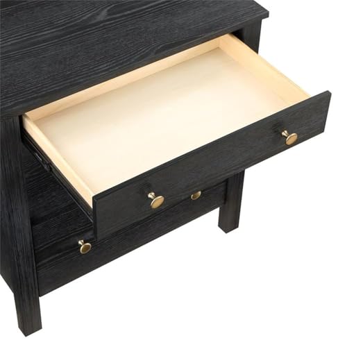 Delano Black Wood 2-Drawer Modern Nightstand