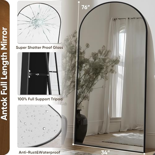 Freestanding Arch Full Length Floor Mirror - Black