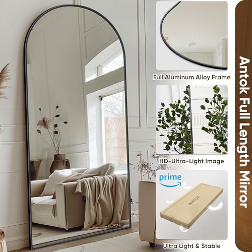 Freestanding Arch Full Length Floor Mirror - Black