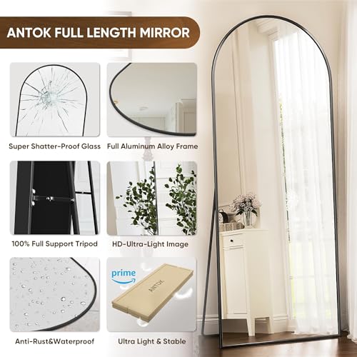 Antok 71" Arched Full-Length Floor Mirror - Black