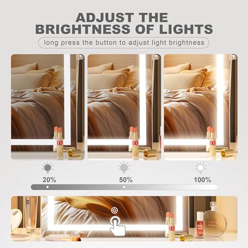 LED Vanity Mirror with Touch Control and 10X Magnification