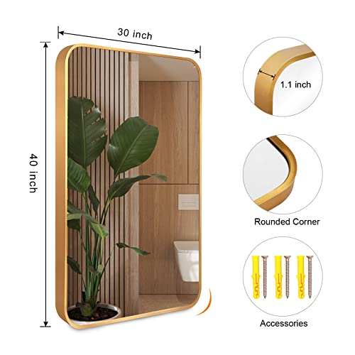 Gold Metal Frame Rectangular Wall Mirror, 40x30 Inch