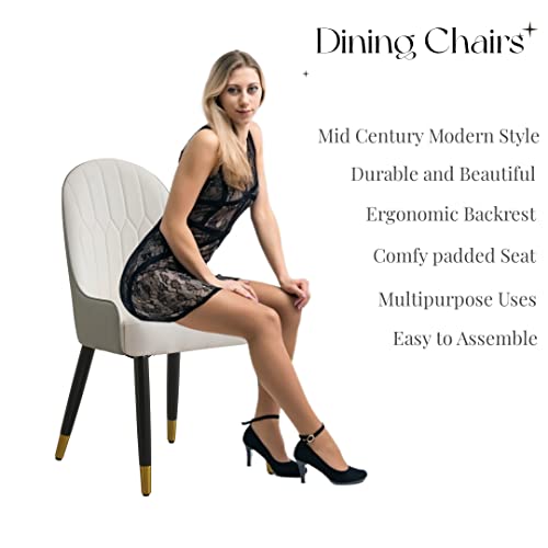 Montary 9 Piece Dining Table Set, Modern Dining Table Set of 8, White 59" D Faux Marble Dining Table with Lazy Susan, Sintered Stone Round Table with 8 Dining Chairs, for Dining Room