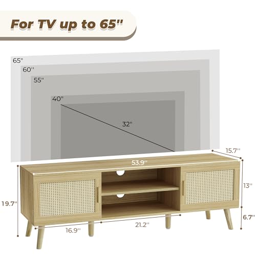 Boho TV Stand with Adjustable Shelves and Cabinets