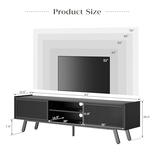 Modern Black TV Stand with Sliding Door Storage