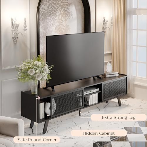 Modern Black TV Stand with Sliding Door Storage