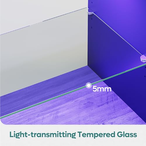 Modern LED TV Stand for 60/65 Inch TVs