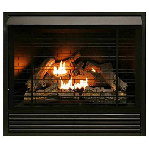 Duluth Forge Dual Fuel Ventless Gas Fireplace Insert
