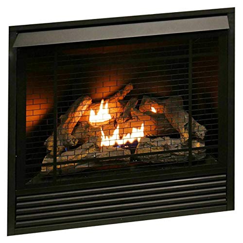 Duluth Forge Dual Fuel Ventless Gas Fireplace Insert