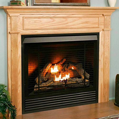 Duluth Forge Dual Fuel Ventless Gas Fireplace Insert