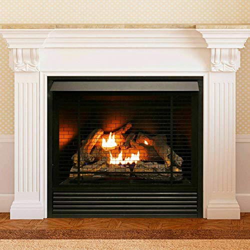 Duluth Forge Dual Fuel Ventless Gas Fireplace Insert