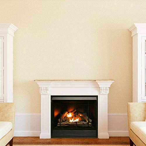 Duluth Forge Dual Fuel Ventless Gas Fireplace Insert