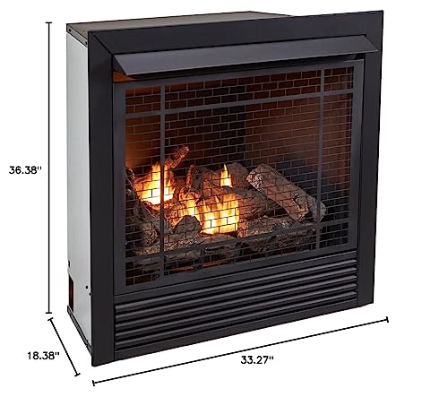 Duluth Forge Dual Fuel Ventless Gas Fireplace Insert