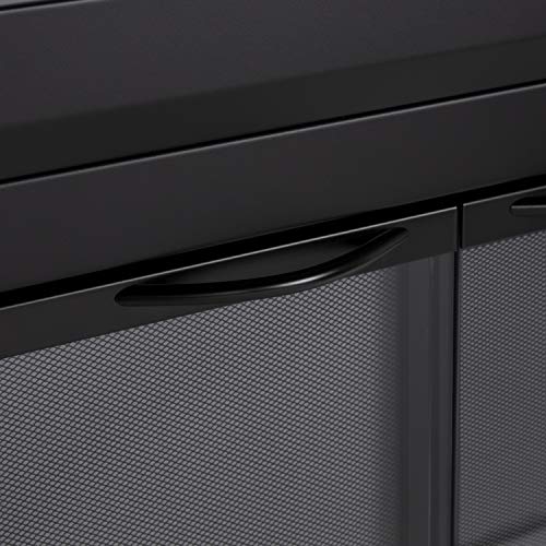 Carlisle Small Fireplace Glass Door by Pleasant Hearth