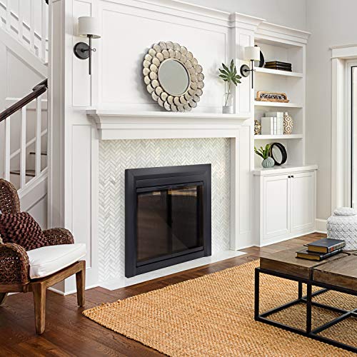 Carlisle Small Fireplace Glass Door by Pleasant Hearth
