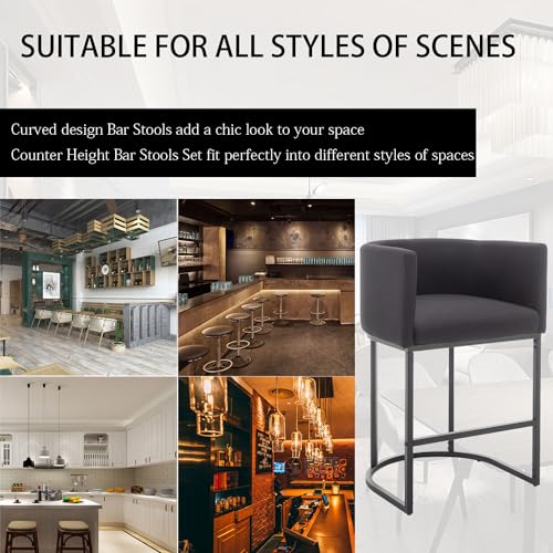 Modern Counter Height Bar Stools Set of 2